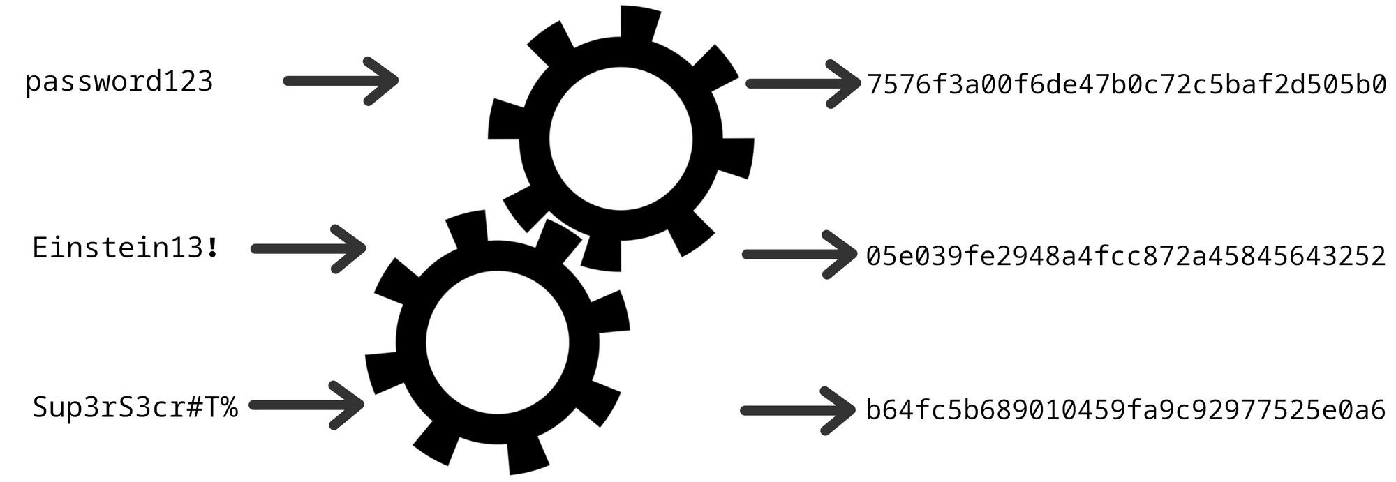 Hashing Password